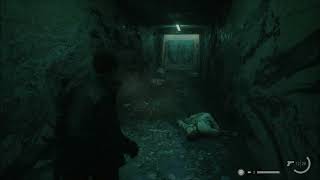 Alan Wake 2 🔦 german dlc Das Haus am See 05 Experimente an der Schwelle [upl. by Allveta]