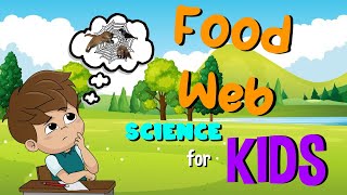 Food Web  Science for Kids [upl. by Mharba724]