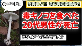 【皆の反応】毒キノコを食べた男性が食中毒で死亡：見分け方と安全対策は？ [upl. by Freytag]