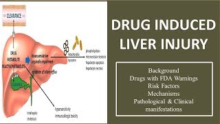 DRUG INDUCED LIVER INJURY Hepatotoxicity causative agents mechanisms and pathology 🏥 [upl. by Kinnie571]