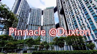 PINNACLE DUXTON  GOING UP AT THE SKY BRIDGE LEVEL 50TH [upl. by Atinet704]