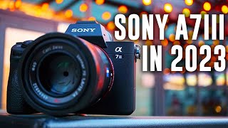 Should You Buy The Sony A7III This Year [upl. by Harden]