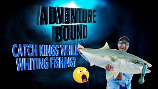 Adventure Bound Classic  Catching Ocean Whiting amp Kingfish [upl. by Boulanger]