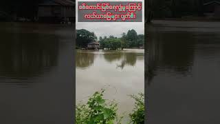 စစ်တောင်ရေကြီးyoutubeshorts trendingshorts views [upl. by Aundrea40]