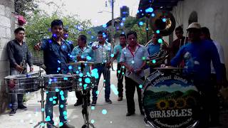 Original Banda Girasoles Carnaval 2017 San Lorenzo Achiotepec [upl. by Akcirre689]