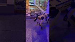 Boston Dynamics Robot dog hiphop music artist automobile foryou rap gaming car [upl. by Ange]