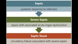 Sepsis SIRS Septic Shock ICD10CM Coding for CPC and CCS Exam [upl. by Nuahsel267]