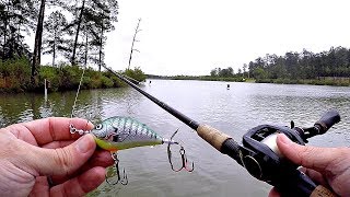 Topwater Fishing in the Rain [upl. by Herby743]