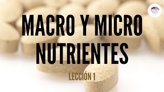 1 CONCEPTOS BÁSICOS DE ALIMENTACIÓN MACRO Y MICRONUTRIENTES NUTRICIÓN ORTOMOLECULAR [upl. by Akiam]