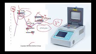 PCR Primer Designing Genotyping Part2 [upl. by Loriner]