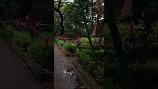 Belapur Navi Mumbai garden view shorts [upl. by Krispin483]