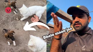 Bholo ko staffy manany gia but bholo😡 [upl. by Yrot]