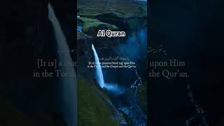 9 AtTawba Verse 111  islamicreminder come2therightpath islamichistory qurantranslation [upl. by Schreck]