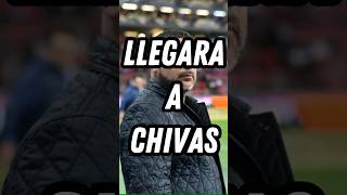 El Turco Mohamed Llegará a Chivas ligamx2023 futbol seleccionmexicanadefutbol futbolmexicano [upl. by Ecnerwal]