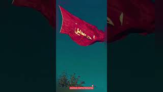 Labaik Ya Hussain AS  Hoga Ya Hussain AS  Nadeem Sarwar Noha  2024  Karbala  Muharram shorts [upl. by Rehpotsirh460]