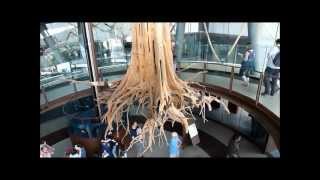 COSMOCAIXA BARCELONA Nº1wmv [upl. by Nyrahs]