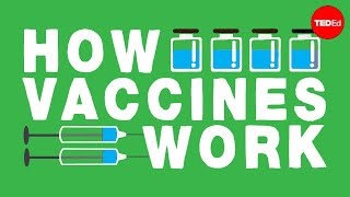 How do vaccines work  Kelwalin Dhanasarnsombut [upl. by Ruamaj953]