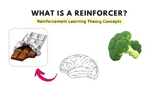 What is a Reinforcer and its types  Reinforcement Learning Theory Operant Conditioning [upl. by Helm]