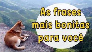 Frases Bonitas e Pequenas Para Você Frases para Status reflexão Motivação Superação com Imagens [upl. by Devaj]