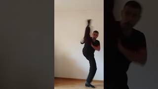 Axe kick wing tsun attack [upl. by Nednarb]