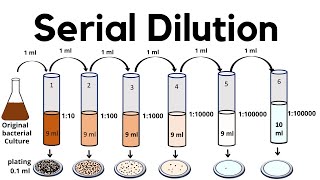 Serial Dilution method  viable cell count method [upl. by Eilahtan]