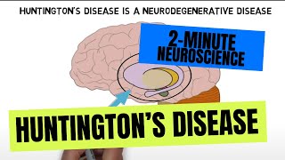 2Minute Neuroscience Huntingtons disease [upl. by Pegg]