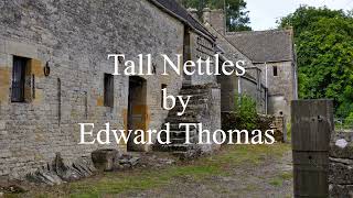 Tall Nettles by Edward Thomas [upl. by Brent417]