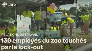 Lockout au Zoo de Granby  baisse des services à prévoir [upl. by Annetta]