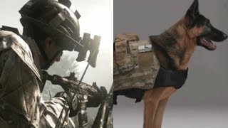 Call of Duty Ghosts meet the real dog that plays Riley [upl. by Aschim]