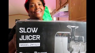 WHALL MASTICATING SLOW JUICER REVIEW [upl. by Airdnaz48]