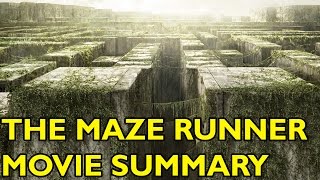 The Maze Runner  Questions HD  20th Century FOX [upl. by Raleigh]