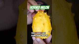 Let’s try a horned Melon shortsfeed foodie shorts [upl. by Conchita]