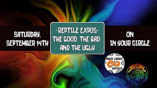 Vending Reptile Expos The Good the bad and the ugly In Your Circle [upl. by Llecrad]