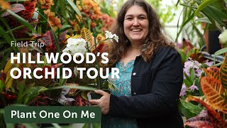 Tour ORCHID CONSERVATORY at Hillwood Estate — Ep 367 [upl. by Berkin610]