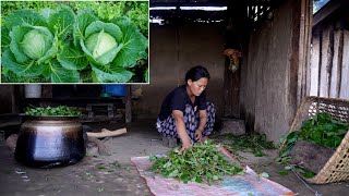 Boiling fodder for Pig by Rita in the farm house  beautiful cabbage farming [upl. by Azial]