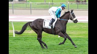 Moonee Valley amp Sandown  MANIKATO STAKES NIGHT AND SANDOWN STAKES DAY PREVIEW [upl. by Assin871]