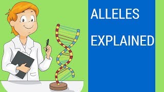 What is an allele   Allele examples [upl. by Ahdar249]