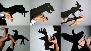 Hand shadow Performance III Make Animals By Hand shadow  Shadowgraphy  shadoes [upl. by Enimrej]