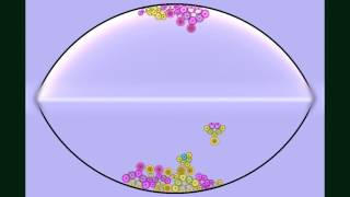 CrossFertilizing Flower Pods  by Nayus and bwisialo [upl. by Asirram]