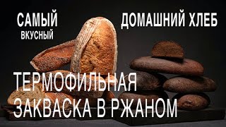 Воспроизводство термофильной закваски в домашних условиях [upl. by Coates454]