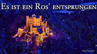 Es ist ein Ros entsprungen German Christmas SongLyrics [upl. by Kore]