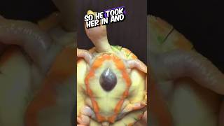 This little Turtle have open heart ❤️ 🥺 animals animalstories shorts barnacles turtle [upl. by Assirem]