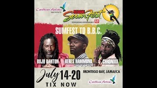 REGGAE SUMFEST 2019JULY 1420 MONTEGO BAY JAMAICA [upl. by Stauder]