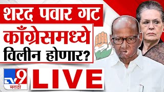 Sharad Pawar गट Congress मध्ये विलीन होणार घडामोडी लाईव्ह  Maharashtra Politics  tv9 Marathi Live [upl. by Aserat612]