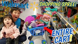 WALMART SHOPPING SPREE WE LET ARI FILL HER ENTIRE SHOPPING CART BUYS TOYS CLOTHES amp CANDY [upl. by Demitria83]