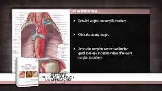 Netters Surgical Anatomy and Approaches [upl. by Massimiliano31]