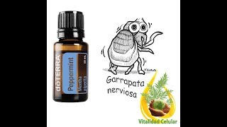 Sin garrapatas con doTERRA [upl. by Royo811]