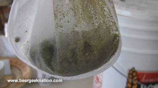 Beer Geek Nation Homebrew 101 Dry Hopping [upl. by Germin]