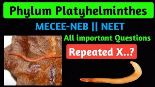 Phylum Platyhelminthes  Conceptual Questions series  CEEMEC NEETAIIMSNEB [upl. by Angelita290]