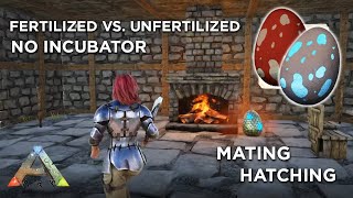 ARK Eggs Explained  Hatching  Mating  No Incubator  Survival Evolved [upl. by Behah]